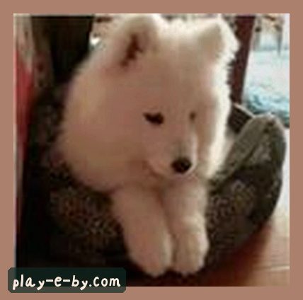 小敏